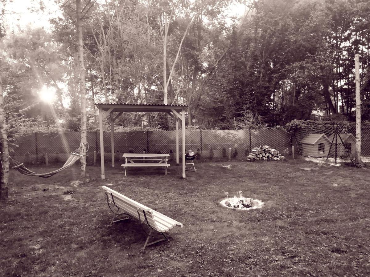 Nostalgia Homestay Olsztyn (Warmian-Masurian)